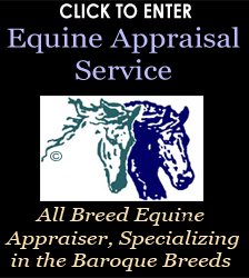 Equine Appraisal Service, baroque breed specialty, all breed approved