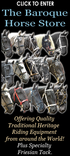 Friesian and Baroque Horse Tack Store, World Heritage Tack & white bridles