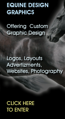 Equine Design Custom Graphics