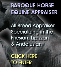 Equine Appraisal Service