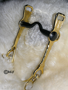 brass spanish bit