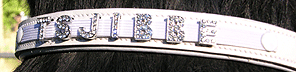 charm crystal browband