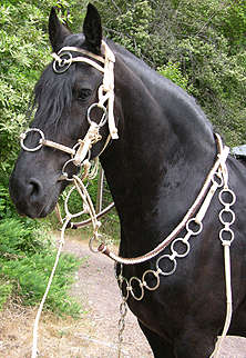 brazillian gaucho bridle set
