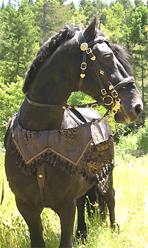custom medieval horse costume