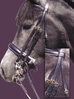 Dressage double bridle