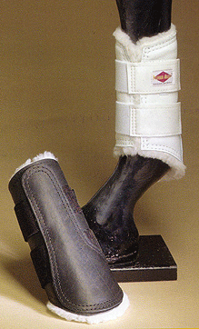 pelhan ascot dressage boots