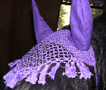 beaded fly bonnet