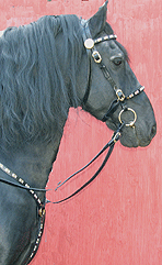 hungarian show bridle