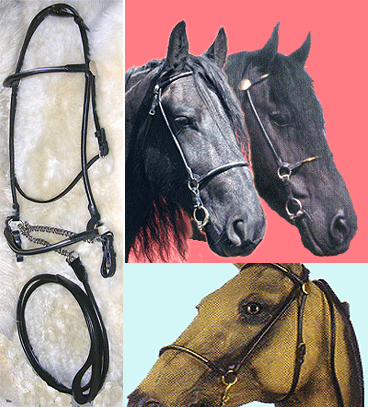 In hand Show bridle