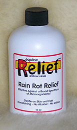 Equine rain rot relief