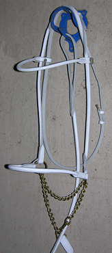 In hand Show halter