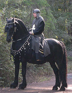 Medieval Horse costume